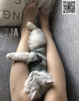 欧美国产影院_剧情片高清视频播放