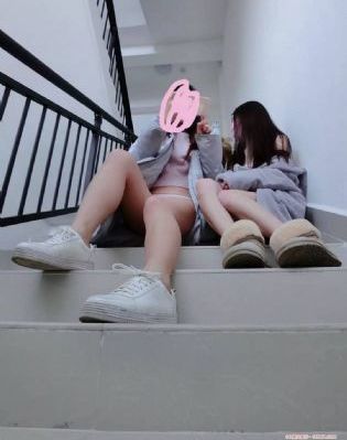 野花视频高清在线观看_BD国语免费观看