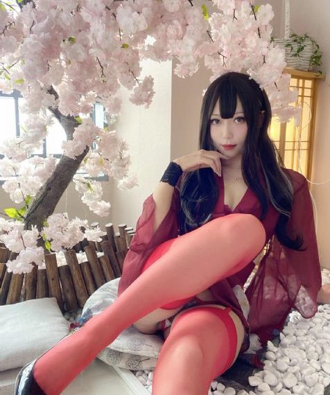 夺娶电视剧免费观看全集高清_720手机在线看